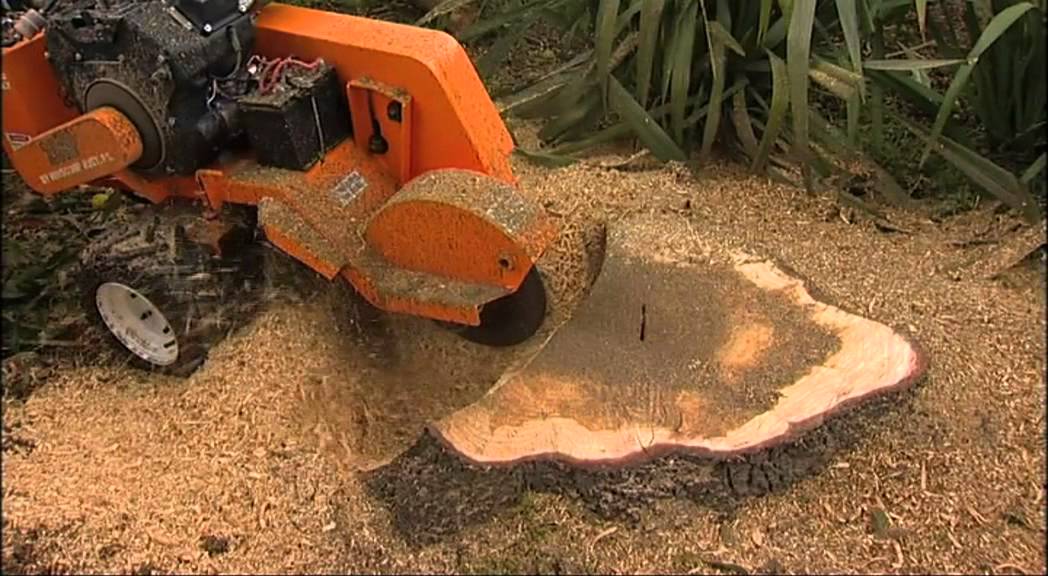 stump removal melbourne - same day tree works