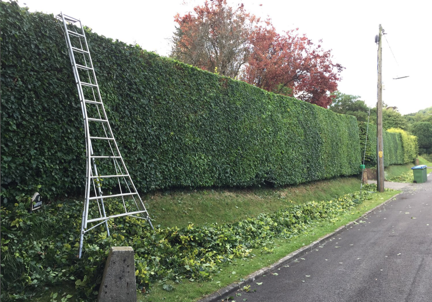 hedge trimming melbourne